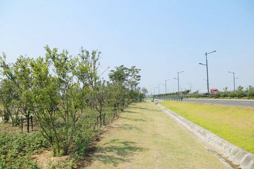 新闻中心-江阴园林绿化工程,江阴绿化养护,江阴环卫保洁
