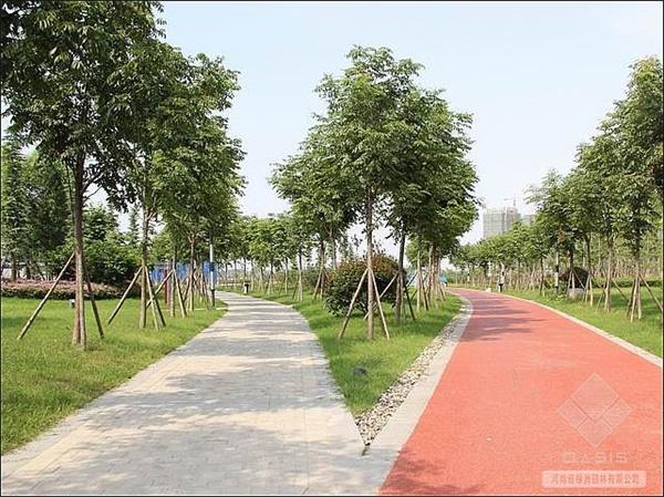 绿化养护 -服务项目 - 河南省园周绿园林绿化工程