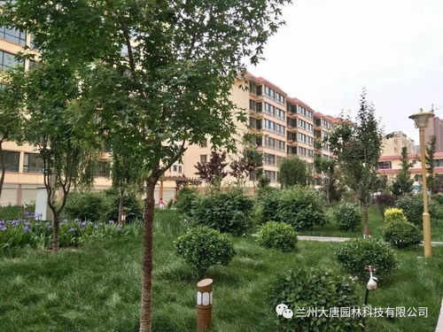 临洮怡康苑住宅小区园林景观绿化工程